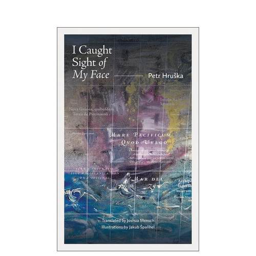 我瞥见了自己的脸 I Caug