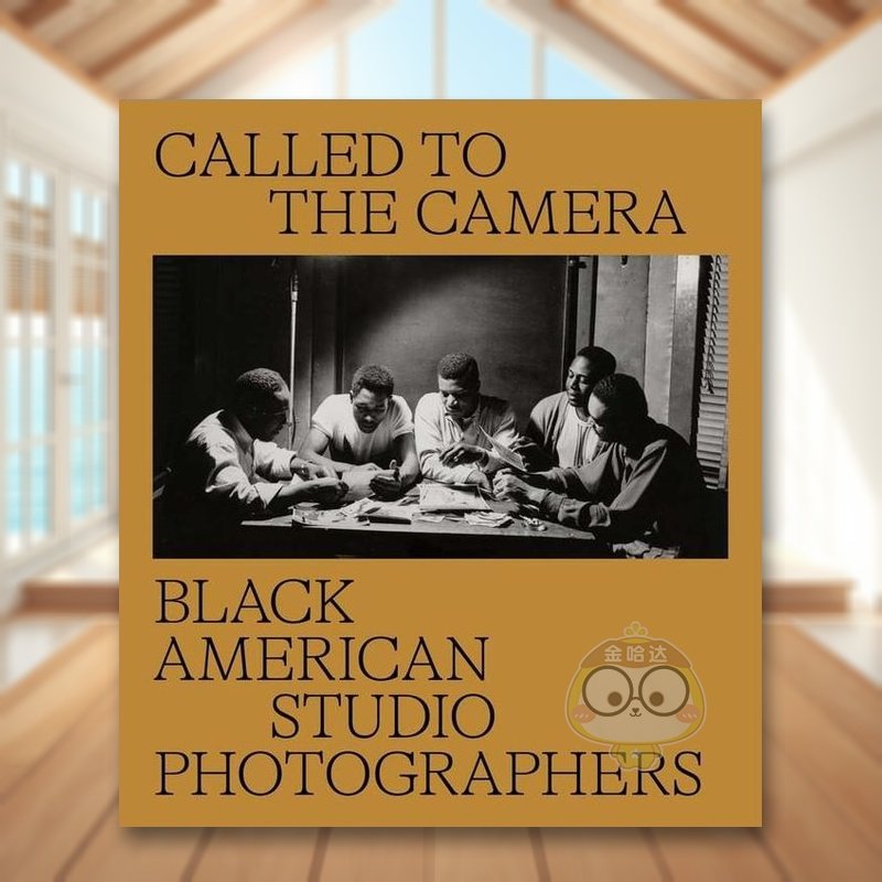 被召唤到镜头前：美国黑人工作室