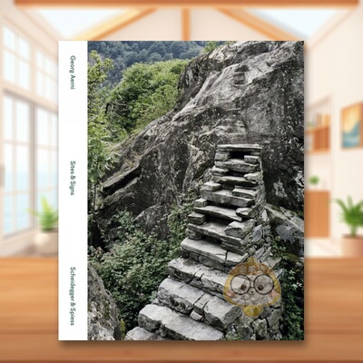 【预售】场地与符号：乔治·阿尔尼摄影作品集 Sites & Signs 原版英文摄影作品集进口书籍图书外版正版