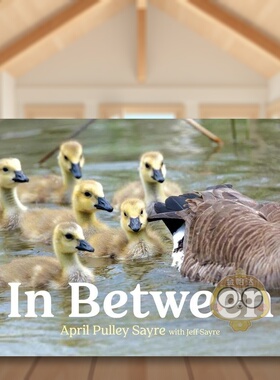 【现货】之间英文儿童绘本动物生态环保进口原版书精装In Between SAYRE Beach Lane Books书籍图书外版正版