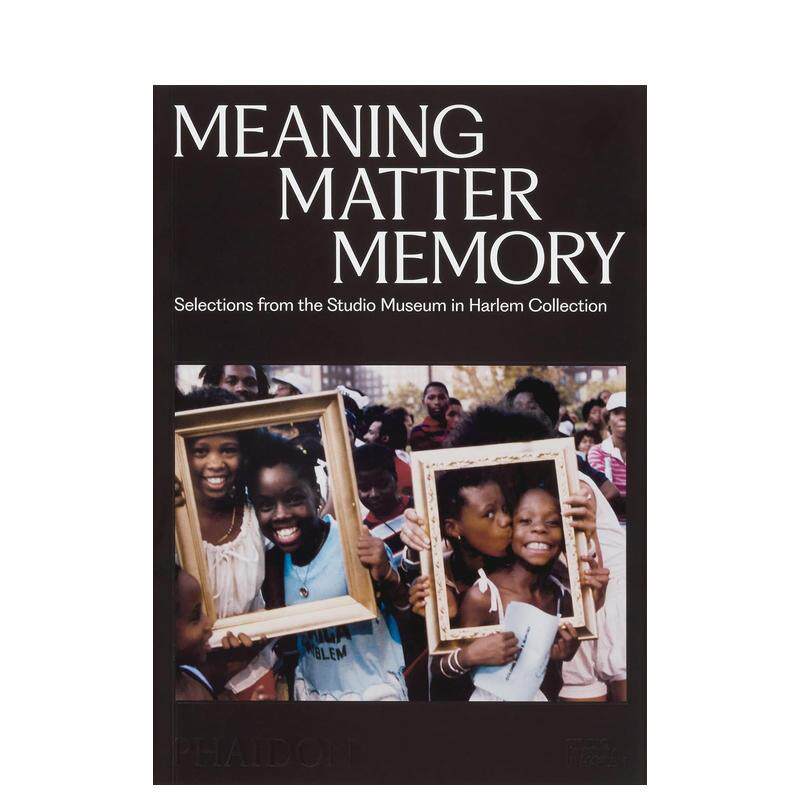 【预售】意义与记忆：哈莱姆工作室博物馆藏品选集 Meaning Matter Memory 英文进口原版艺术画册画集Thelma Golden Connie H. Ch图片