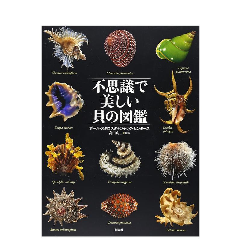 【预售】奇妙美丽贝类图鉴 不思议で美しい贝の図鉴 日文进口原版艺术正版图书籍 ポール?スタロスタ 创元社