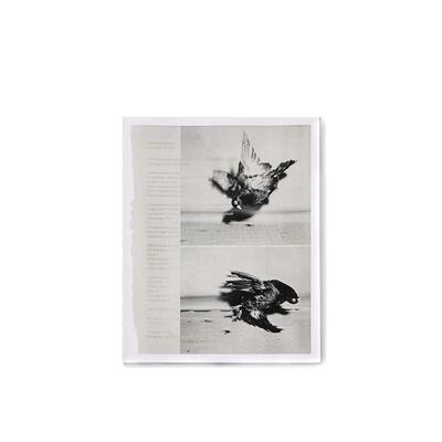 【预售】Arrangements 安排 英文进口原版艺术画册画集外文图书籍Carmen Winant