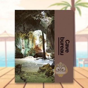 原版 正版 Cave Architect The 建筑工作室 Bureau 英文建筑设计进口书籍图书外版 Studio 预售