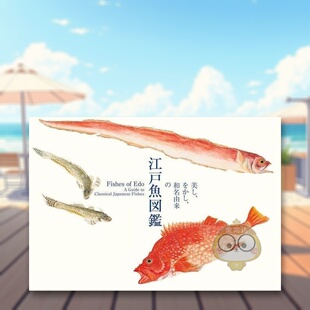 をかし 江戸魚図鑑 美丽 进口原版 图书外版 日文艺术图鉴日版 毛利梅园 江户鱼图鉴 和名由来 书籍美し 预售