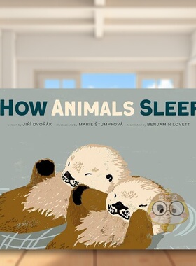 【预售】动物们是如何睡觉的英文儿童绘本动物生态环保进口原版书精装How Animals Sleep Jiri Dvorak著Red Comet Press出版书籍图