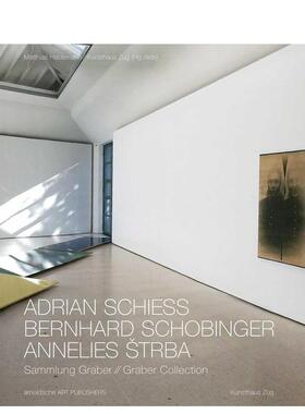 【预售】国际知名瑞士艺术家藏品集 Adrian Schiess - Bernhard Schobinger - Annelies Strba  原版英文艺术画册画集进口书籍图书
