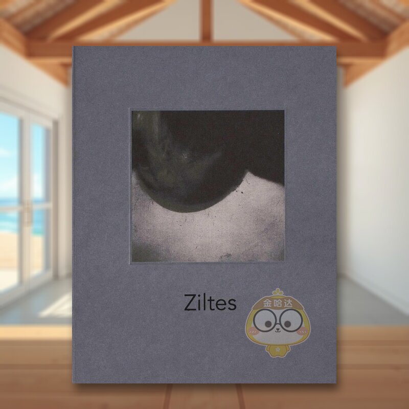 【预售】盐渍：贝尔纳黛特·梅西昂 Ziltes:Bernadette Messiaen 原版英文摄影作品集进口书籍图书外版正版图片