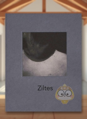 【预售】盐渍：贝尔纳黛特·梅西昂 Ziltes:Bernadette Messiaen 原版英文摄影作品集进口书籍图书外版正版