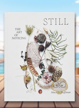 【预售】静谧：观察的艺术 STILL: The Art of Noticing 原版英文艺术画册画集进口书籍图书外版正版