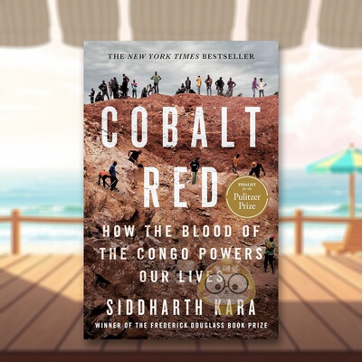 【现货】钴红色Cobalt Red英文社会科学Siddharth Kara平装St. Martin's Press进口原版书322159书籍图书外版正版
