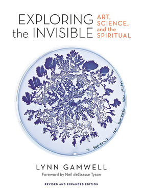 【现货】探索无形：艺术、科学和精神（修订扩展版） Exploring the Invisible: Art Science and the Spiritual Revised and Exp