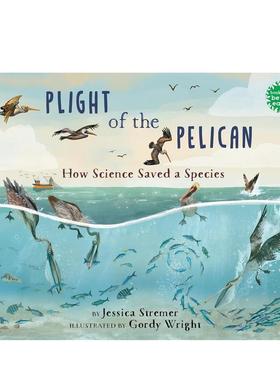 【预售】鹈鹕的困境：科学如何拯救一个物种 Plight of the Pelican 原版英文儿童绘本进口书籍图书外版正版
