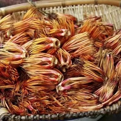 攀枝花特产攀枝花花心野生木棉花花蕊野菜 农家干货包邮