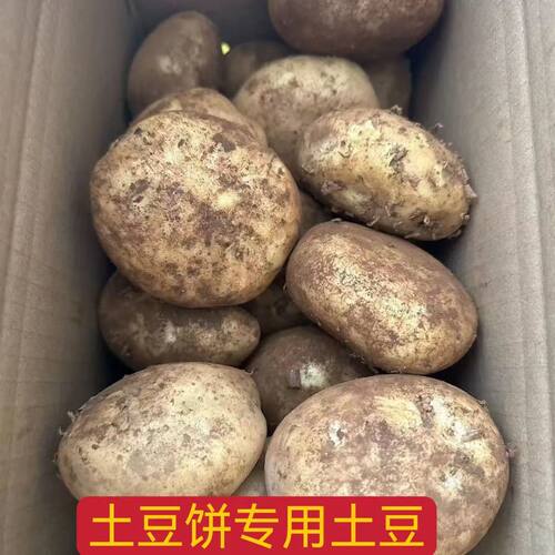 炸薯片专用大西洋土豆云南合作88号土豆云薯304土豆高山低糖洋芋