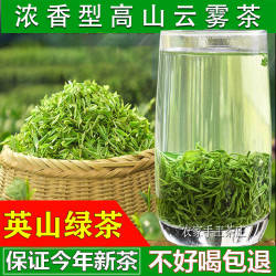 茶叶绿茶高山绿茶2023新茶浓香型雨前毛尖春茶湖北英山云雾茶500g