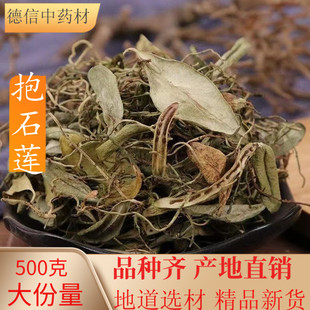 贵州野生抱石莲500g 中药材抱石连石瓜子瓜米菜农产品干货飞莲草