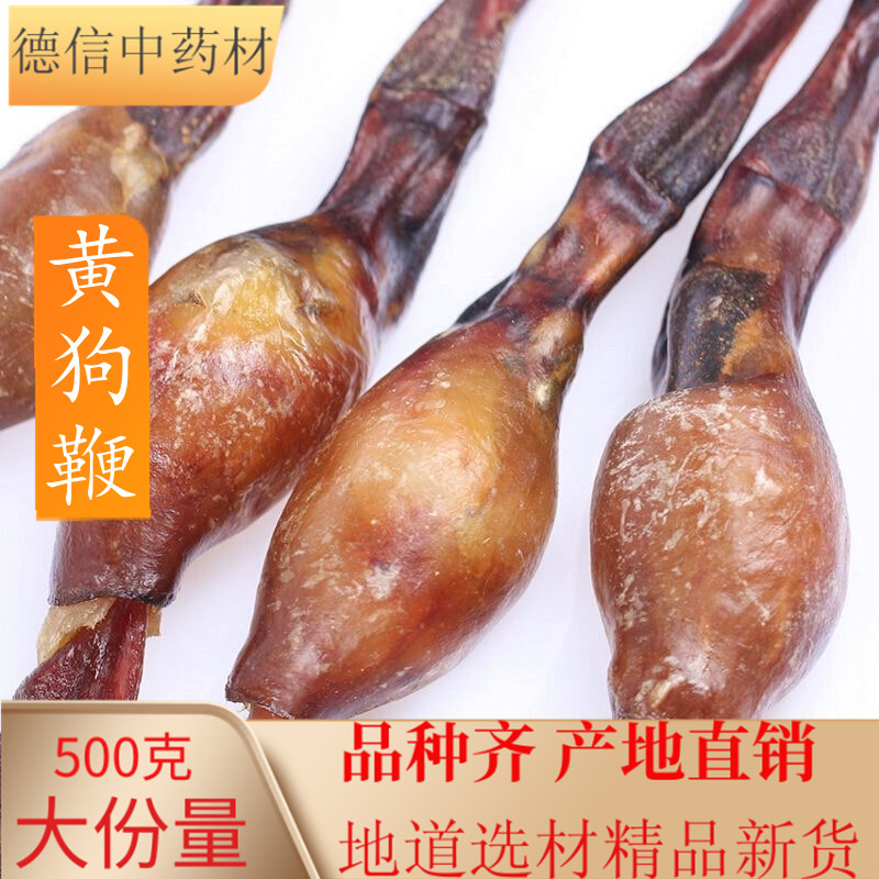新鲜黄狗鞭整根干货黄狗肾食用中