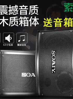 索爱家庭KTV音响套装卡拉ok家用K歌舞蹈健身会议室重低音音箱