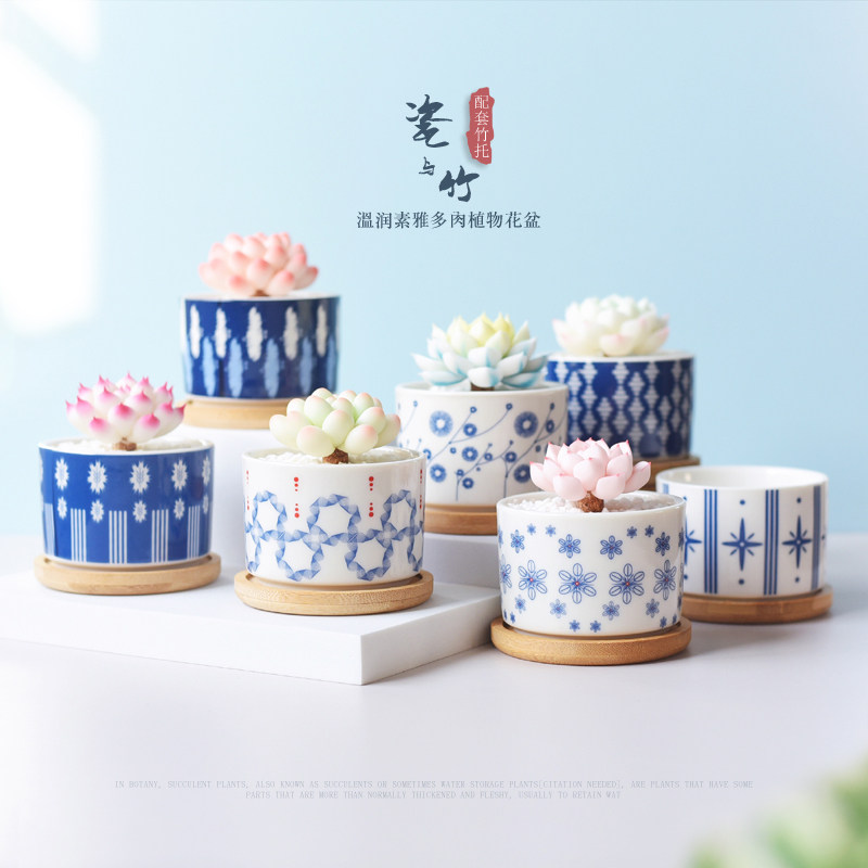 多肉小花盆配套竹托盘简约复古精致控养控型透气可爱创意陶瓷小盆,鲜花速递/花卉仿真/绿植园艺,花盆,淘宝优惠券,粉丝福利购,淘宝优惠卷
