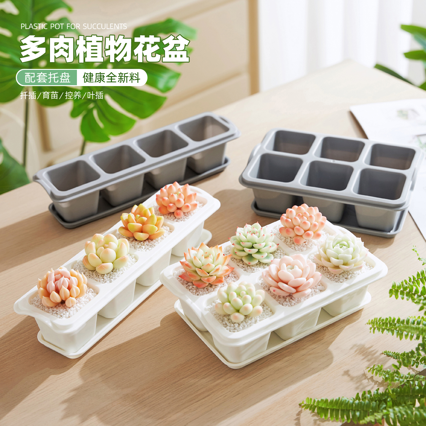 多肉植物花盆加厚塑料透气带托盘