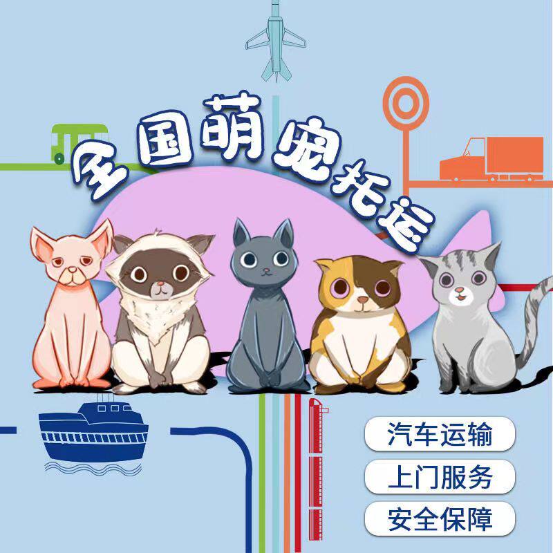 海口三亚全国宠物托运服务猫咪狗宠物托运