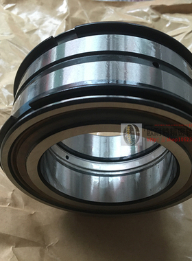 密封双列满装圆柱滚子轴承NNF5006 SL045006 NNF5007 SL045007 PP