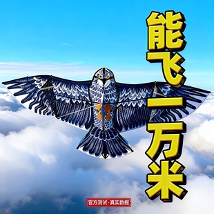 能飞一万米高档巨型老鹰风筝大型特大号成人大人专用撕不烂非伞布