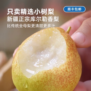掌柜推荐丨正宗库尔勒香梨小树梨 树上自然熟 果肉细腻酥脆甜多汁