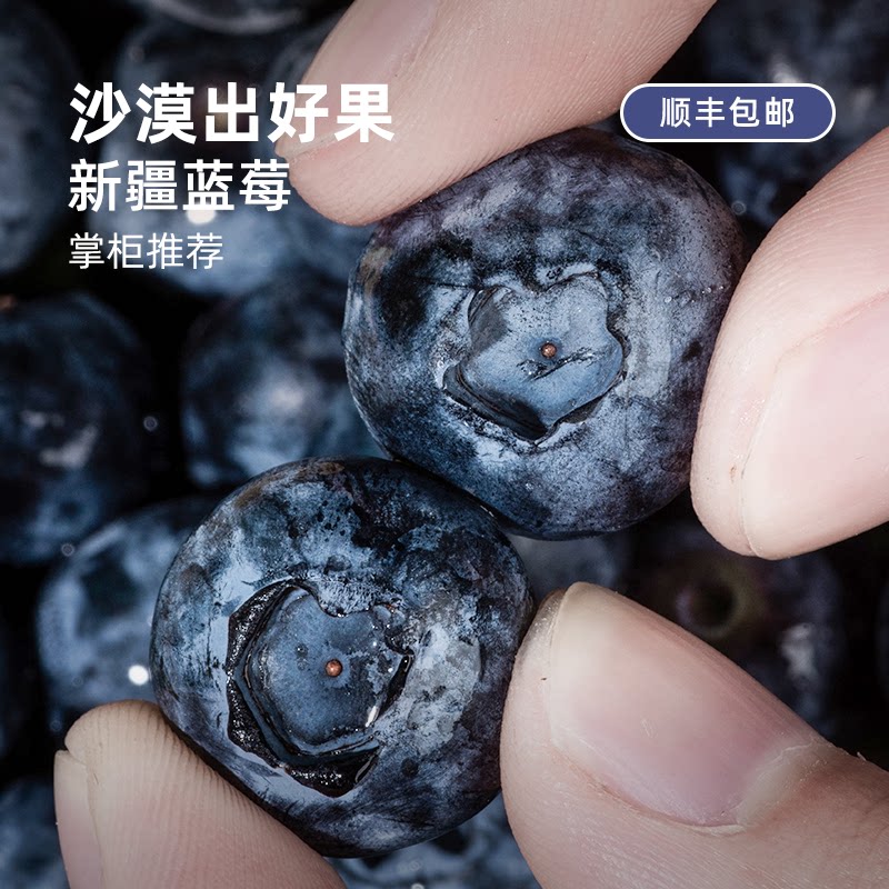 新疆蓝莓丨沙漠蓝莓脆甜爆汁当季鲜果现采现发产地顺丰空运包邮