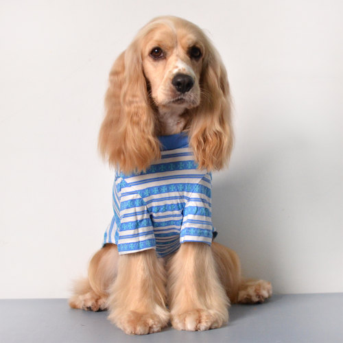 春秋宠物衣服中小型犬猫防掉毛