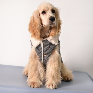 狗狗衣服西施鹿犬小型犬雪纳瑞泰迪柯基可卡中型犬绒马甲冬季 保暖