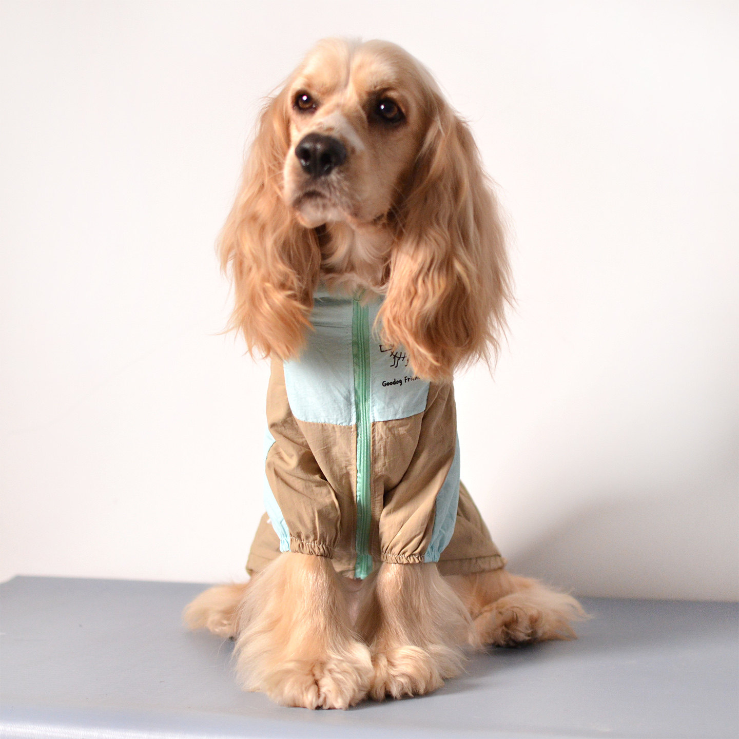 狗狗防晒衣西高地美卡柴犬边牧杜宾巨贵中大型犬衣服春夏薄款防晒