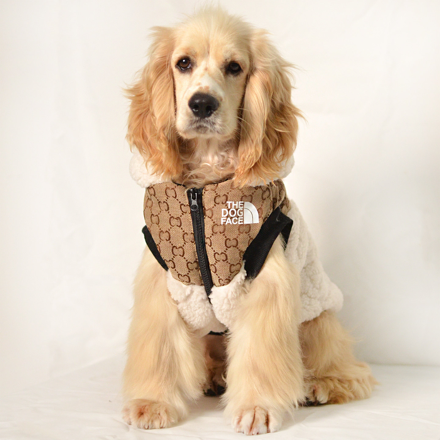 狗狗衣服中小型犬美卡西高地比熊柯基泰迪雪纳瑞柴犬保暖宠物服装,宠物/宠物食品及用品,狗宠物服装/雨衣,淘宝优惠券,粉丝福利购,淘宝优惠卷