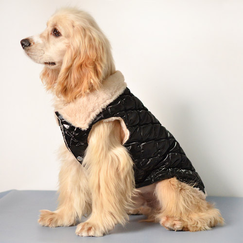 宠物衣服猫咪西施约克夏马尔泰雪纳瑞贵宾中小型犬珊瑚绒保暖马甲