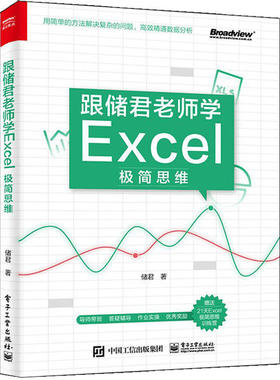 跟储君老师学Excel极简思维 储君著 9787121396359