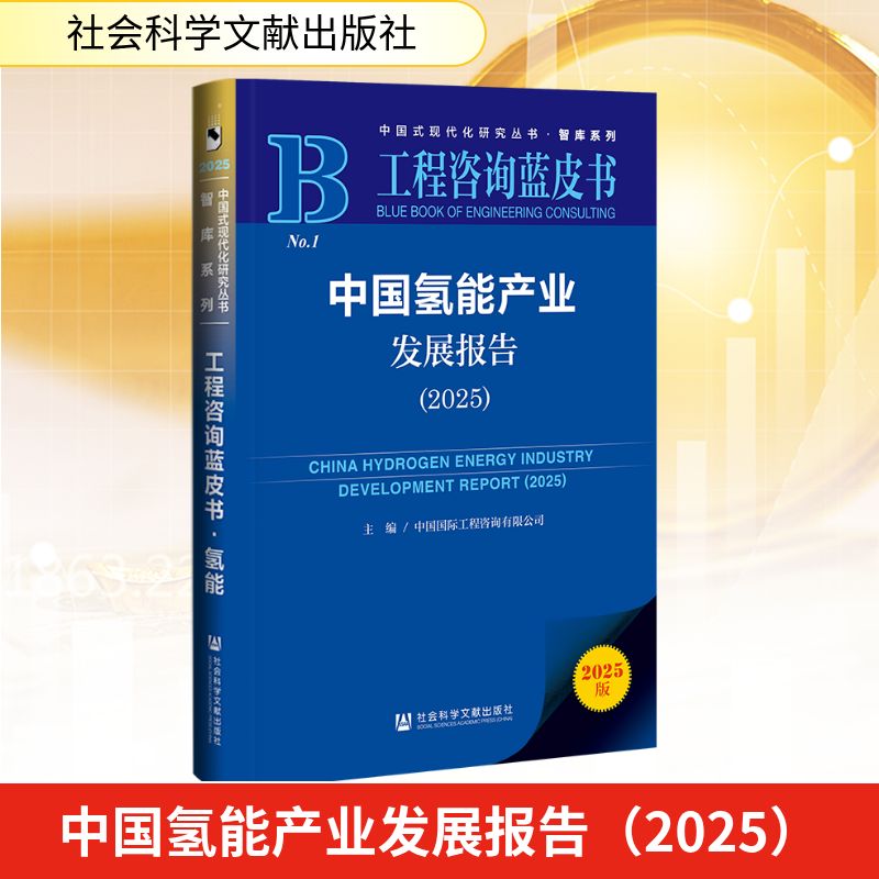 中国氢能产业发展报告 主编中国国际工程咨询有限公司 9787522862002