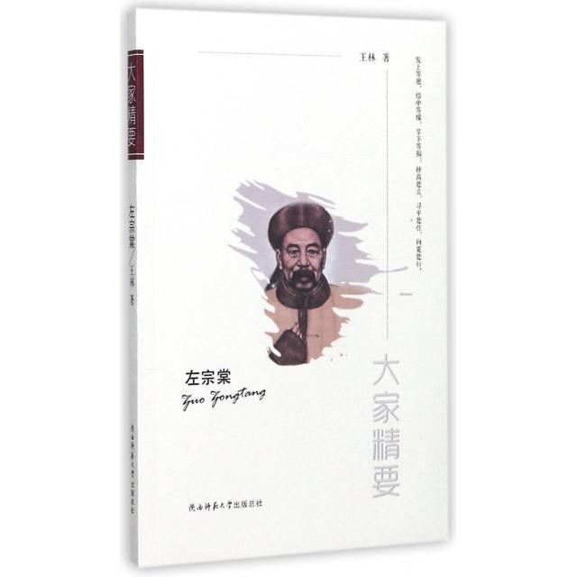 左宗棠王林著陕西师范大学出版总社9787561390511