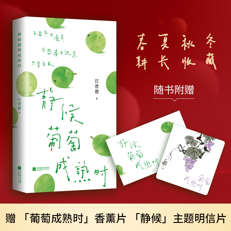 静候葡萄成熟时 汪曾祺著 9787580804501