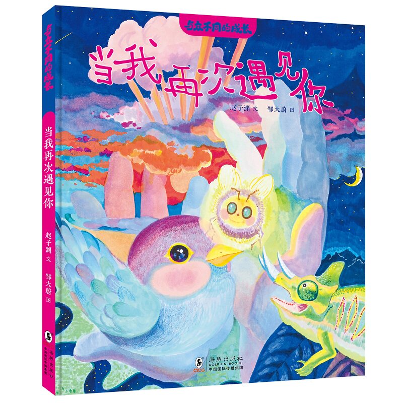 当我再次遇见你赵子渊文海豚出版社9787511074713