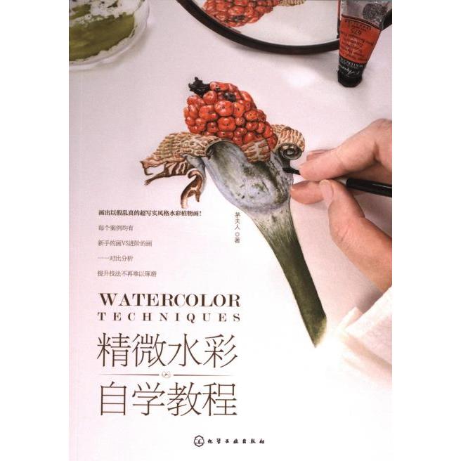 精微水彩自学教程 茅夫人著 9787122437693