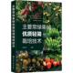 主要常绿果树优质轻简栽培技术 9787122456335 刘永忠主编