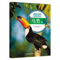 鸟类 西班牙Editorial Sol90, S.L.著 9787203107293