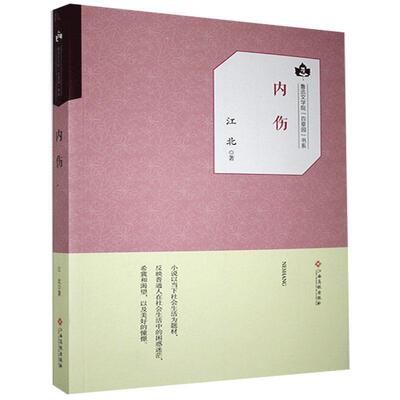 内伤 江北著 9787549356805