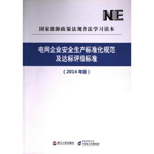电网企业安全生产标准化规范及达标评级标准 国家能源局 9787213062155