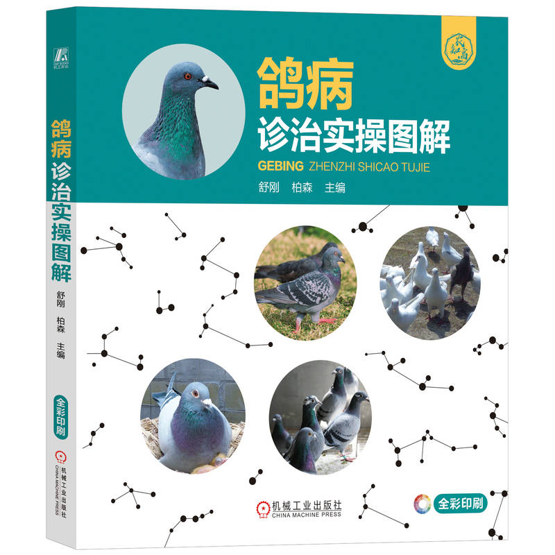 鸽病诊治实操图解 主编舒刚, 柏森 9787111745969