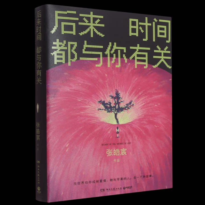 后来时间都与你有关张皓宸作品湖南文艺出版社9787572624087