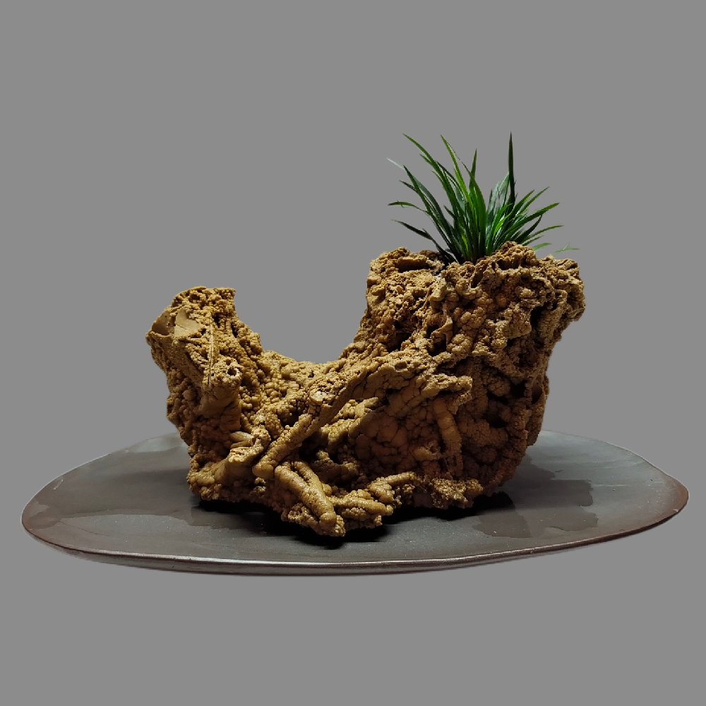 天然吸水石上水石假山花盆微景观金钱菖蒲附石盆景绿植盆栽一物一