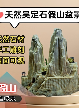 微型吸水石假山吴定石摆件天然原石绿植上水石鱼缸造景加湿盆景