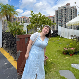 精灵家大码 胖mm显瘦a字长裙 茶歇法式 镂空刺绣V领连衣裙女2025夏季